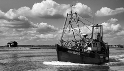 免费ddos攻击网页端