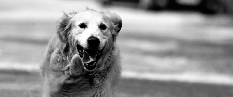 网站攻击工具手机版